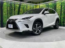 2018 Lexus NX