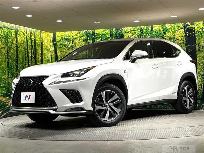 2018 Lexus NX