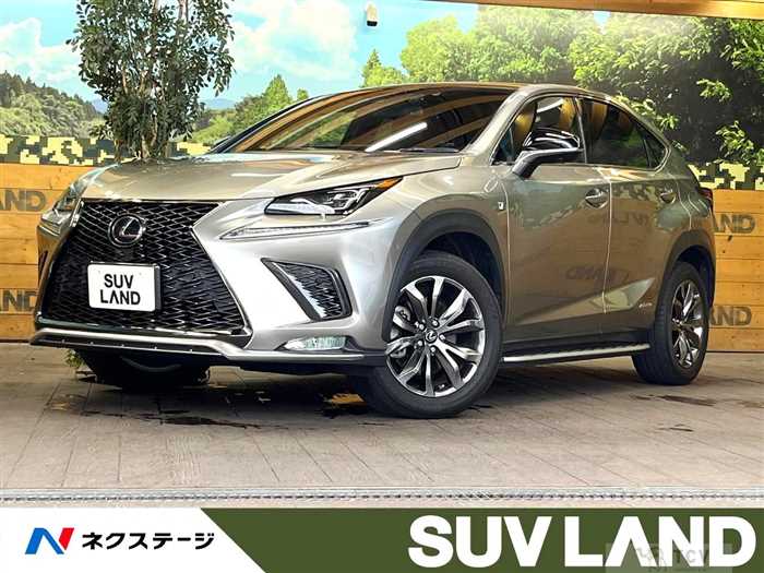 2018 Lexus NX