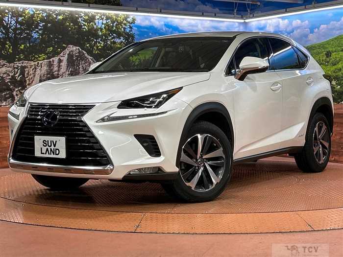2018 Lexus NX