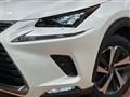 2018 Lexus NX