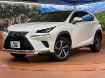 2018 Lexus NX