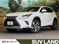 2019 Lexus NX