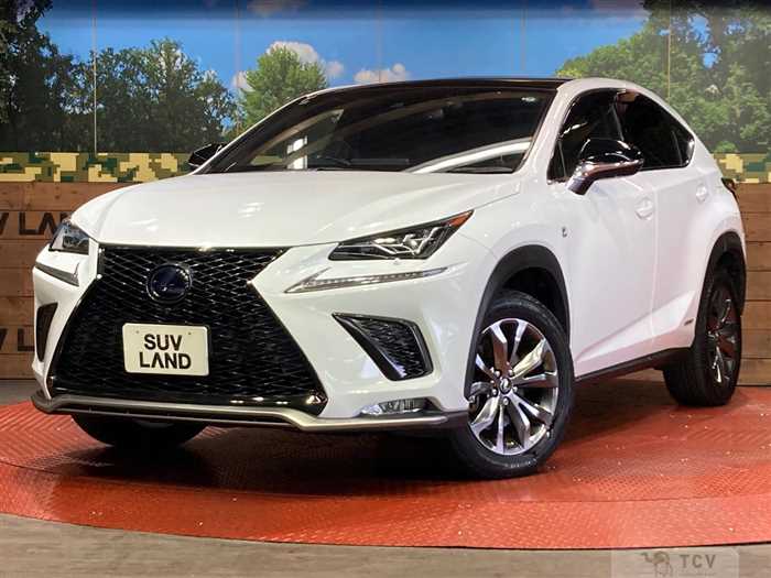 2019 Lexus NX