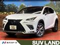 2019 Lexus NX