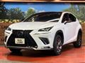 2019 Lexus NX