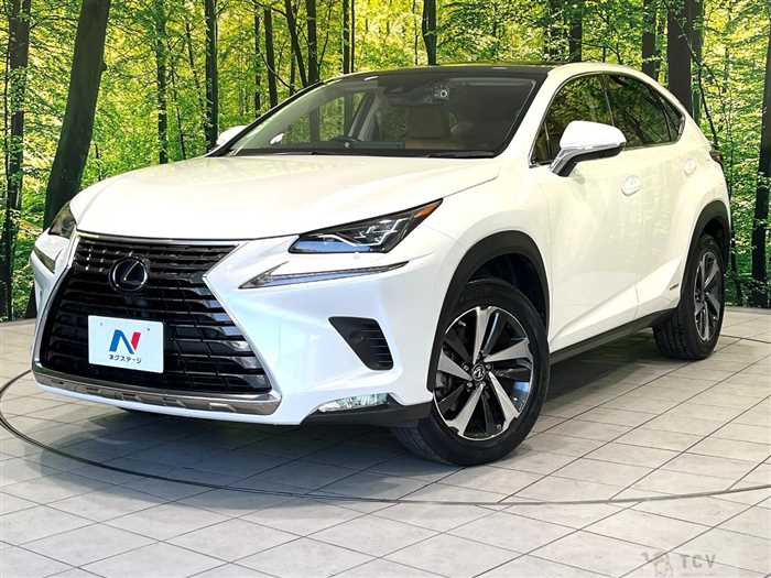 2020 Lexus NX