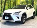 2020 Lexus NX