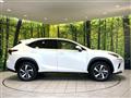 2020 Lexus NX