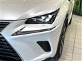 2020 Lexus NX