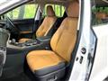 2020 Lexus NX
