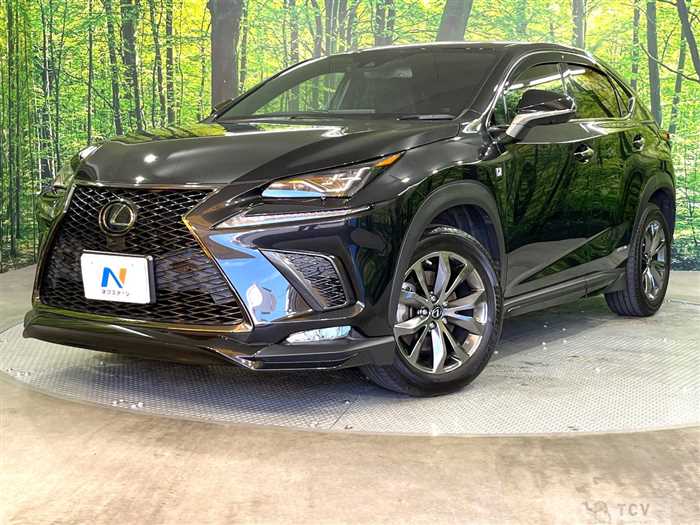 2021 Lexus NX