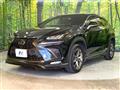 2021 Lexus NX