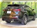 2021 Lexus NX