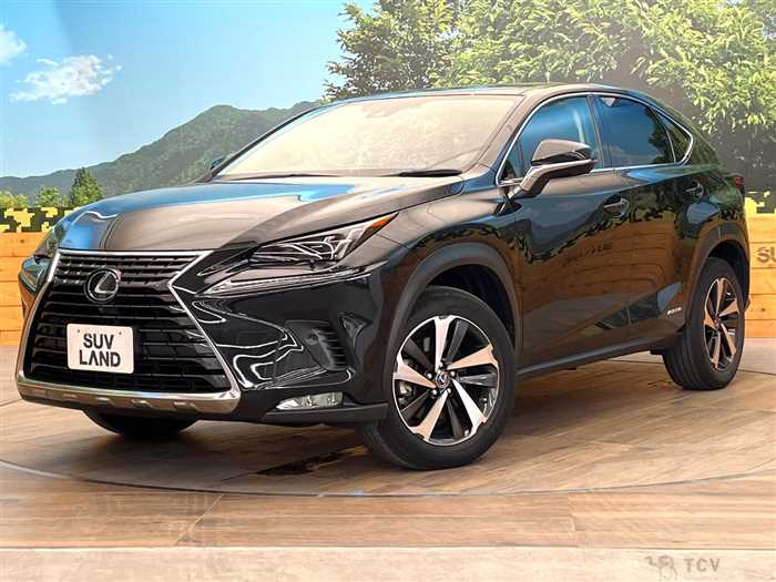 2021 Lexus NX
