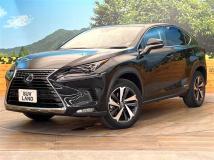 2021 Lexus NX