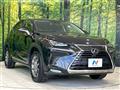 2019 Lexus NX