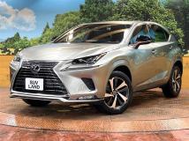 2021 Lexus NX