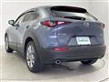 2021 Mazda CX-3