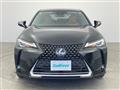 2019 Lexus UX