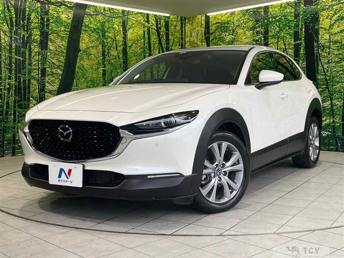 2023 Mazda Mazda Others