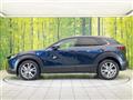 2019 Mazda Mazda Others