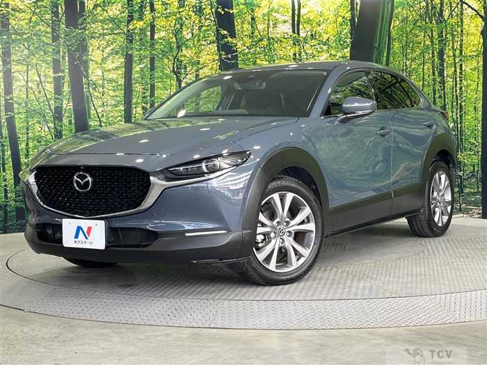 2019 Mazda Mazda Others