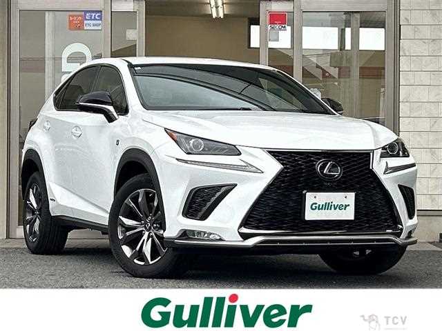 2020 Lexus NX