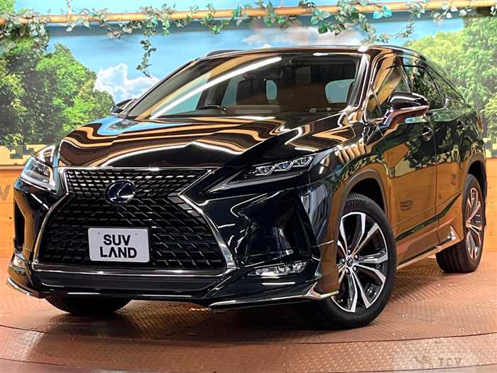 2020 Lexus RX