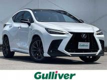 2024 Lexus NX