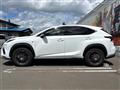 2021 Lexus NX