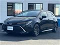 2019 Toyota Corolla Sports