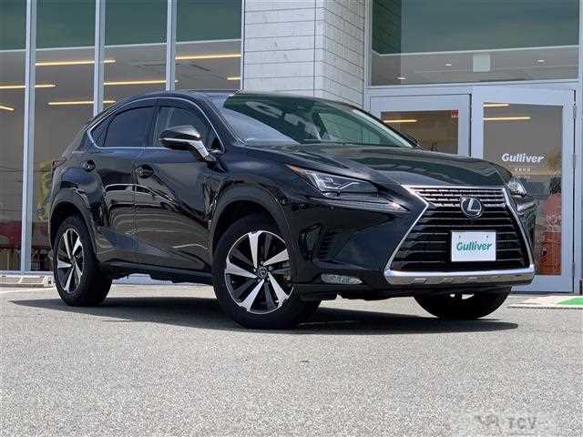 2019 Lexus NX