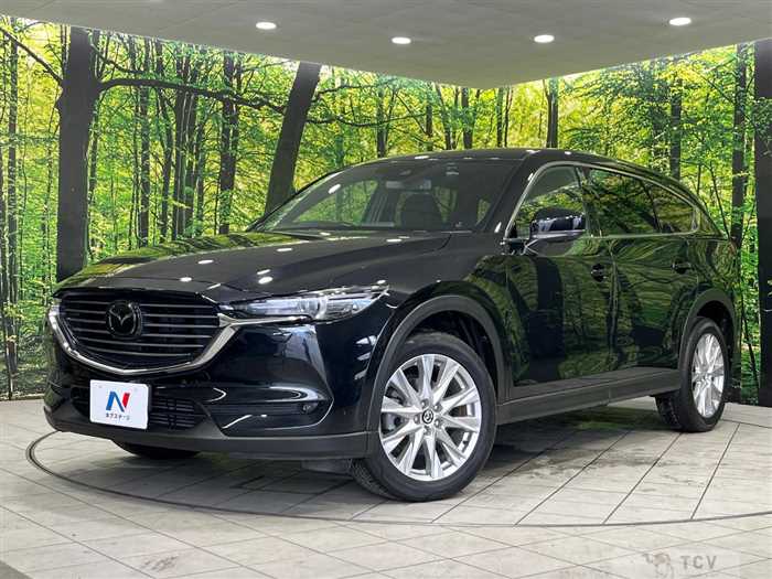 2018 Mazda CX-8