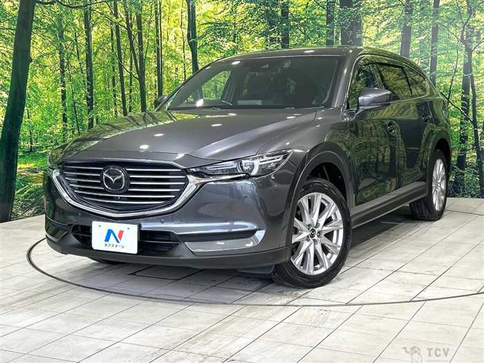 2018 Mazda CX-8