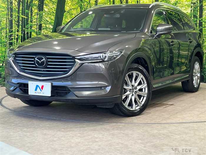 2018 Mazda CX-8