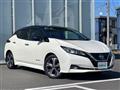 2021 Nissan Leaf