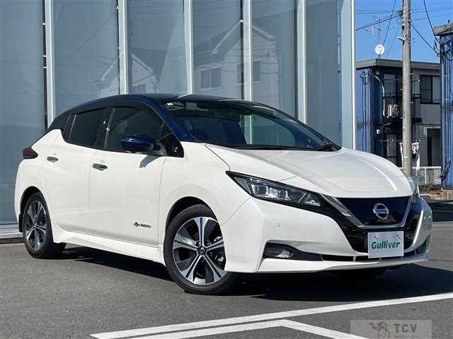 2021 Nissan Leaf