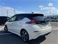 2021 Nissan Leaf