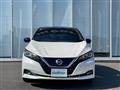 2021 Nissan Leaf