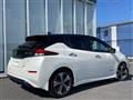 2021 Nissan Leaf