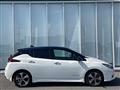 2021 Nissan Leaf