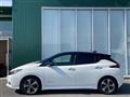 2021 Nissan Leaf