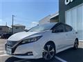 2021 Nissan Leaf