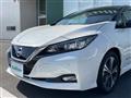 2021 Nissan Leaf