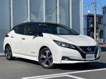 2021 Nissan Leaf