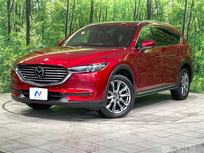 2019 Mazda CX-8