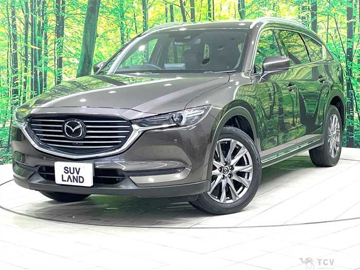 2020 Mazda CX-8