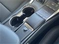 2019 Lexus NX