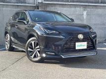 2019 Lexus NX